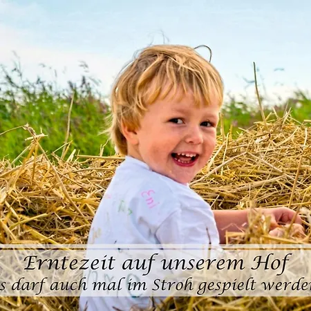 Frieda - Gulfhof Nahe Greetsiel Mit Sauna, Garten & 3 Schlafzimmern *